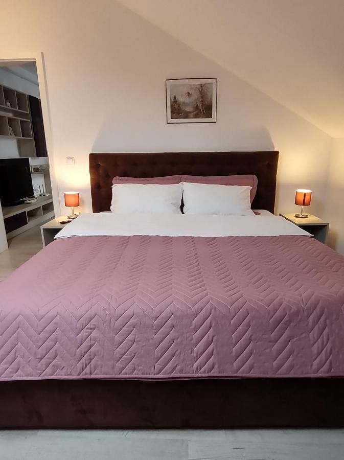 Simona Apartament Palas Mall Яш Екстериор снимка