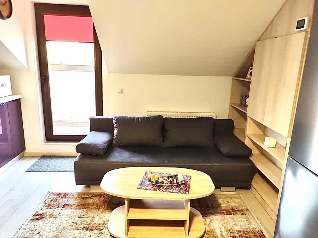 Simona Apartament Palas Mall Яш Екстериор снимка